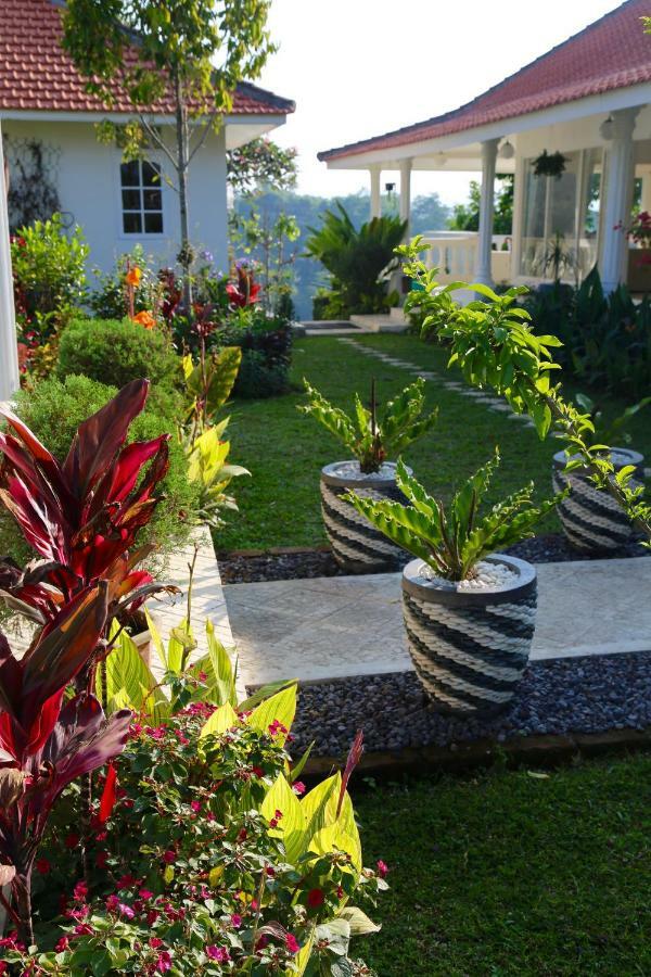 Pondok Plantation Luxury Mountain Escape Bedugul Bedugul (Bali) Exterior foto