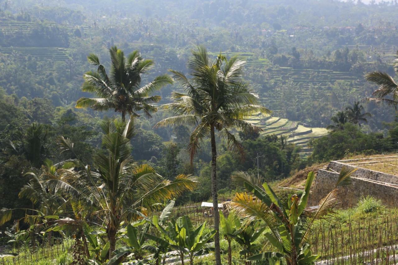 Pondok Plantation Luxury Mountain Escape Bedugul Bedugul (Bali) Exterior foto