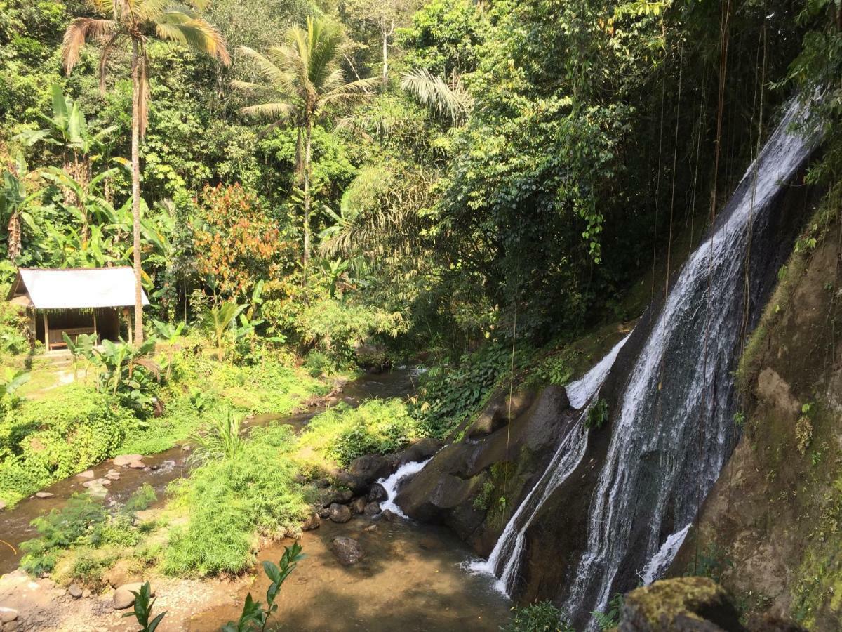 Pondok Plantation Luxury Mountain Escape Bedugul Bedugul (Bali) Exterior foto