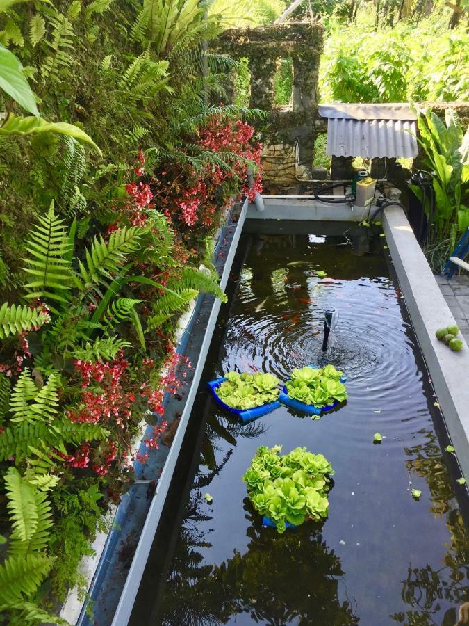 Pondok Plantation Luxury Mountain Escape Bedugul Bedugul (Bali) Exterior foto