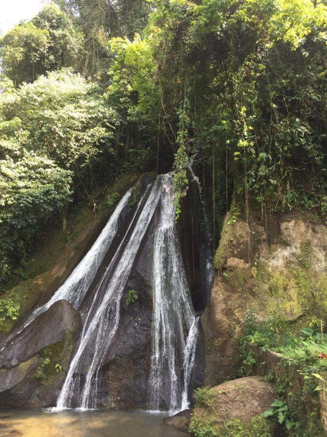 Pondok Plantation Luxury Mountain Escape Bedugul Bedugul (Bali) Exterior foto