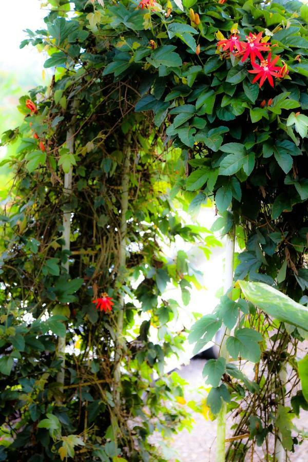 Pondok Plantation Luxury Mountain Escape Bedugul Bedugul (Bali) Exterior foto