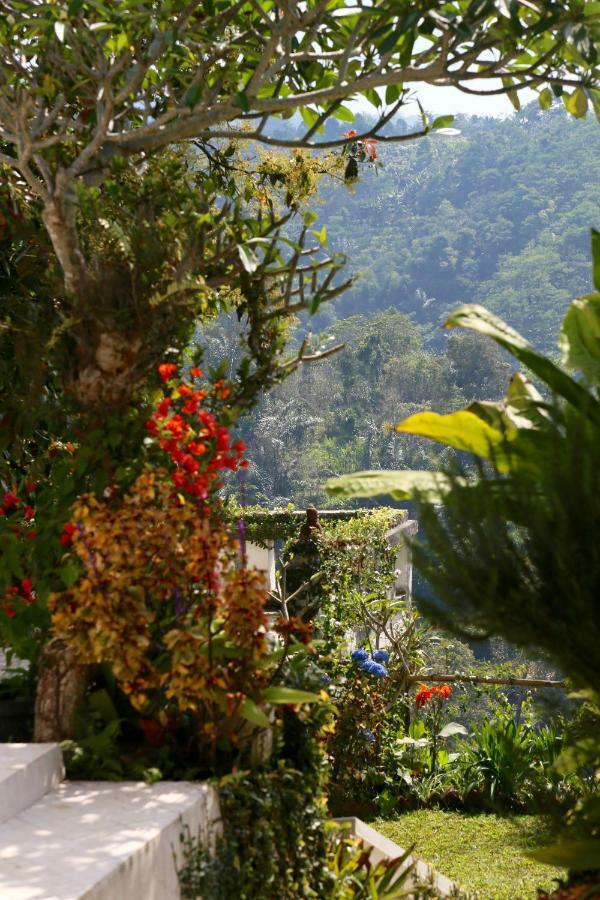 Pondok Plantation Luxury Mountain Escape Bedugul Bedugul (Bali) Exterior foto