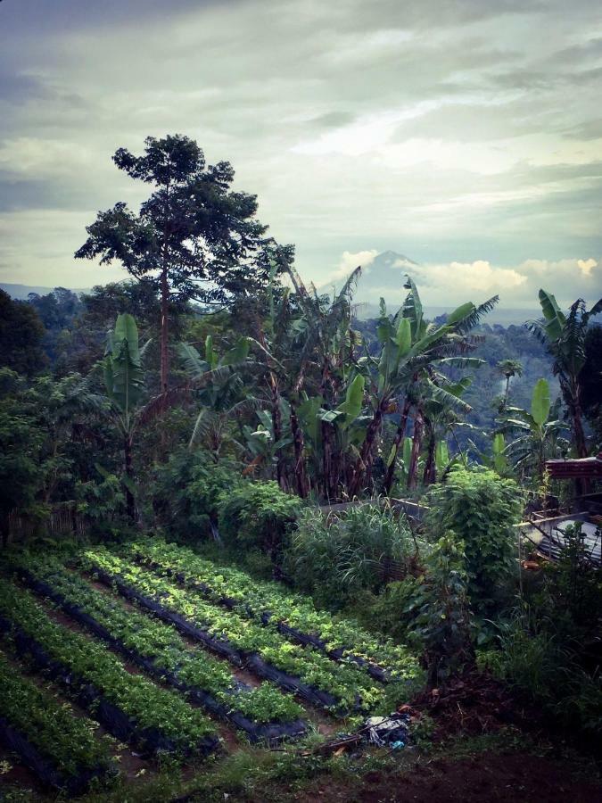 Pondok Plantation Luxury Mountain Escape Bedugul Bedugul (Bali) Exterior foto